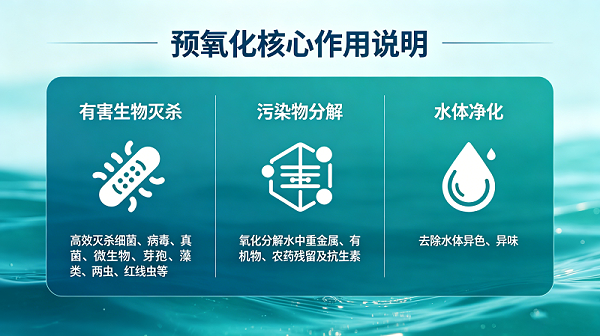 饮用水处理工艺配图 (1)