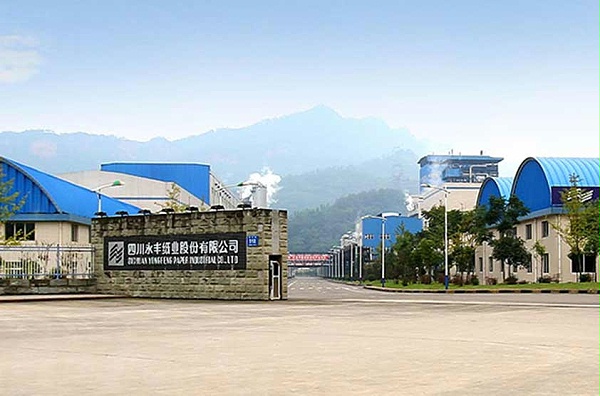 齐力工程客户水处理案例