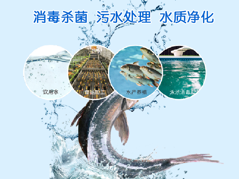 resource/images/14fa48655ea94f0d84dd5523d81d1b2d_2.jpg