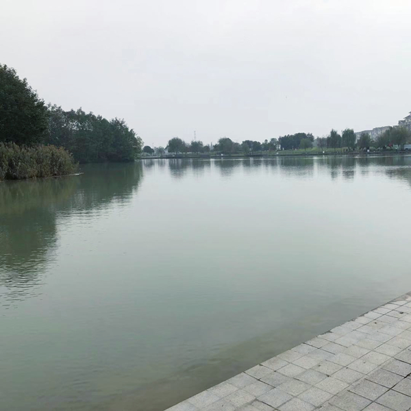 微信图片_20191023101553_副本