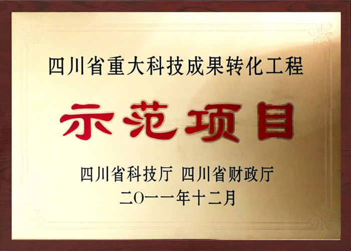 四川省重大科技成果转化工程示范项目-齐力科技