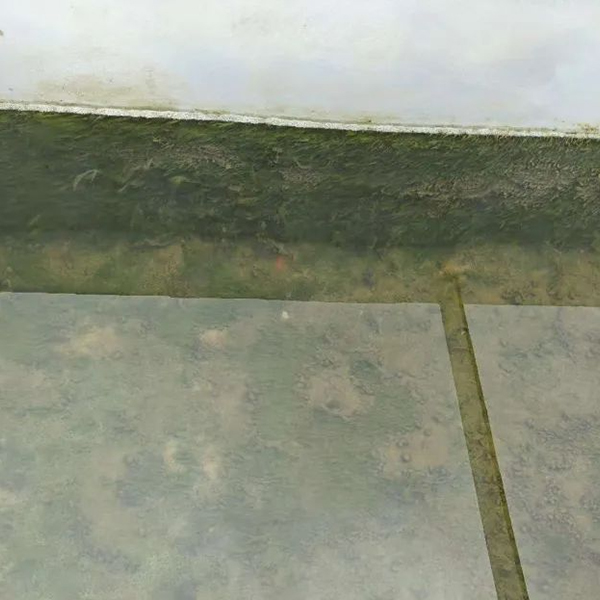 气温回暖高藻来袭！ 水厂除藻认准高纯二氧化氯工艺